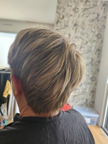 Une couleur et des mèches blondes pour donner de la dimension.Coupe au rasoir pour avoir moins de volume car la cliente a énormément de matière!